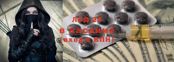 гидра Вязники