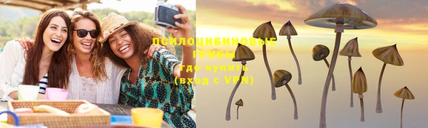 индика Володарск