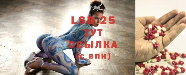 гидра Вязники